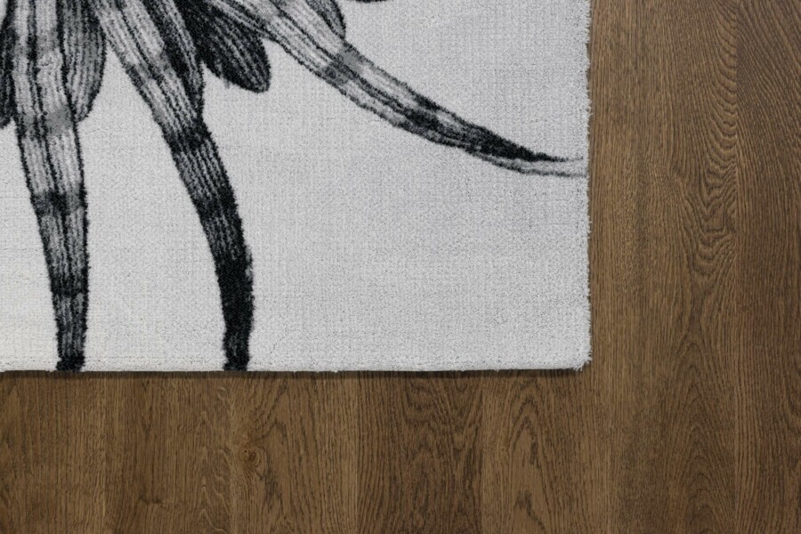 TALWIN grey