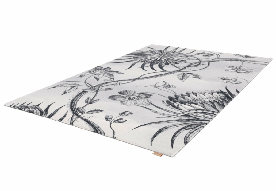 TALWIN grey